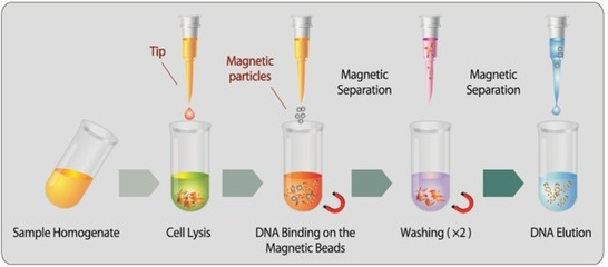 1669283001602875.png 圖片1.png