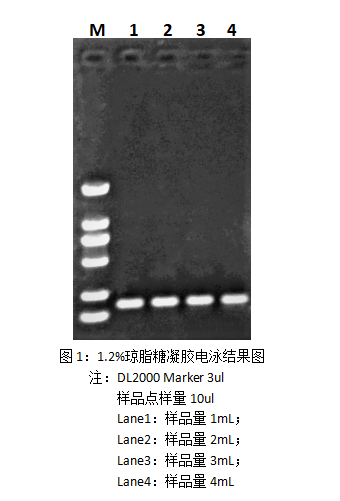 1753251480242268.png 圖片1.png